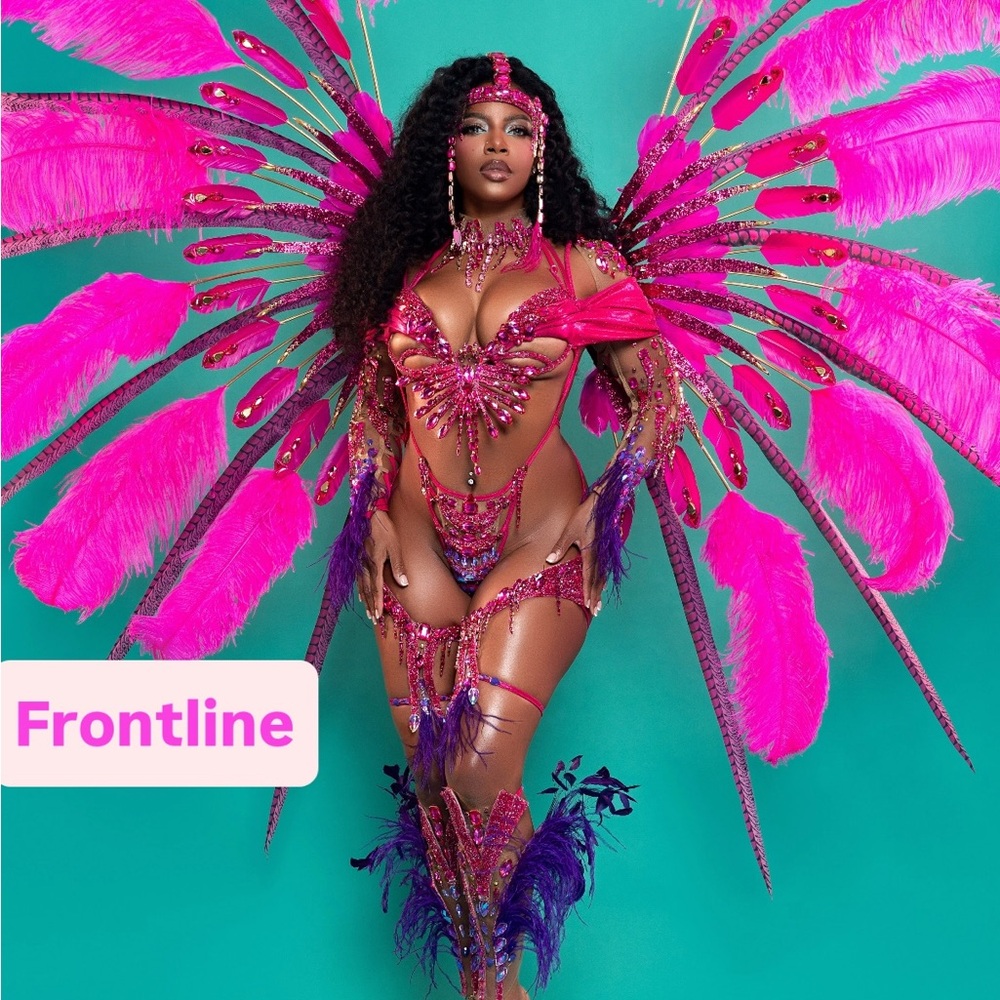 Vibrant Pink Carnival Costume with Feathers